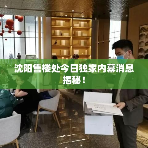 沈阳售楼处今日独家内幕消息揭秘！