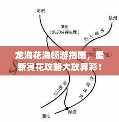 龙海花海畅游指南，最新赏花攻略大放异彩！