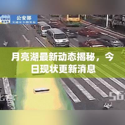 月亮湖最新动态揭秘，今日现状更新消息