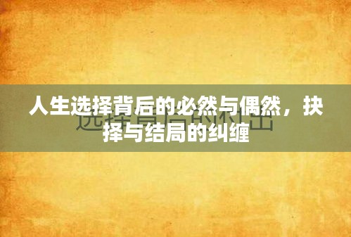 人生选择背后的必然与偶然，抉择与结局的纠缠