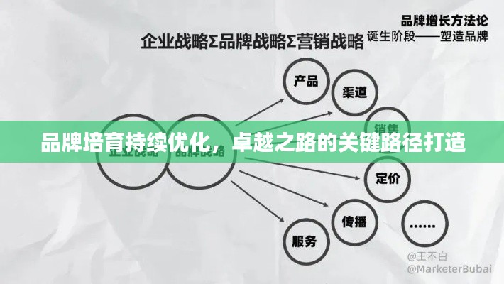品牌培育持续优化，卓越之路的关键路径打造