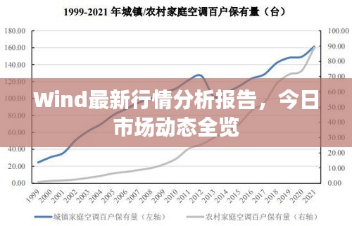 Wind最新行情分析报告，今日市场动态全览