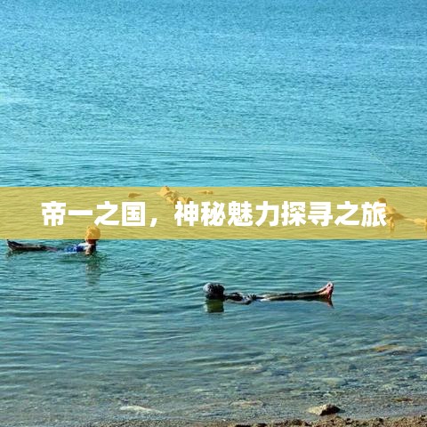 帝一之国，神秘魅力探寻之旅