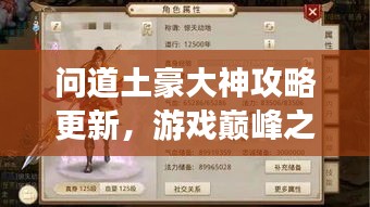 问道土豪大神攻略更新，游戏巅峰之路揭秘