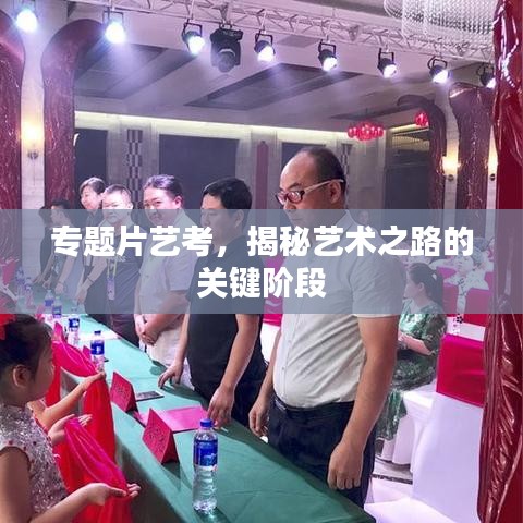 专题片艺考，揭秘艺术之路的关键阶段