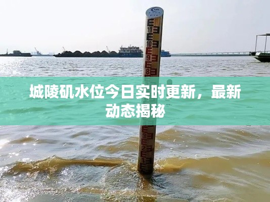 城陵矶水位今日实时更新，最新动态揭秘