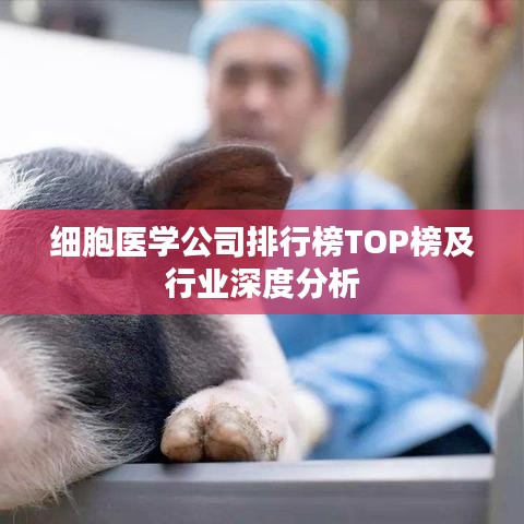 喜笑颜开